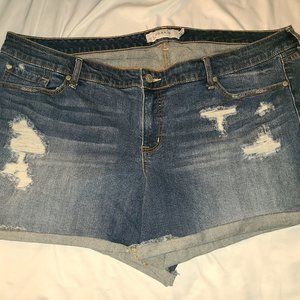 Torrid distressed folded short shorts